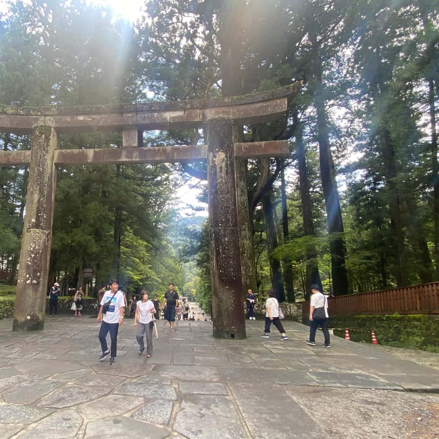 メディア コラージュ