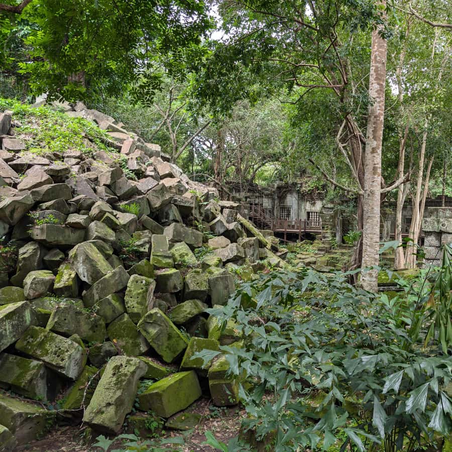 Colagem de mídia