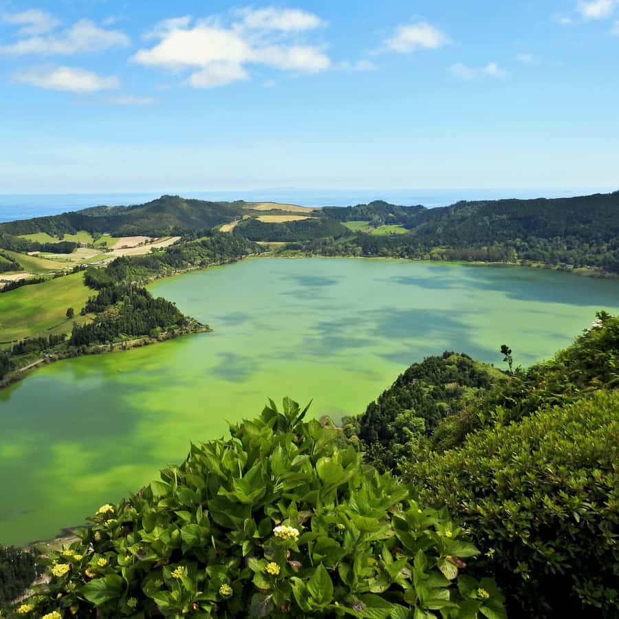 Colagem de mídia
