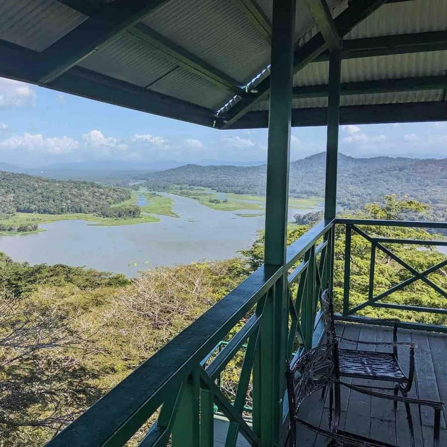 Colagem de mídia