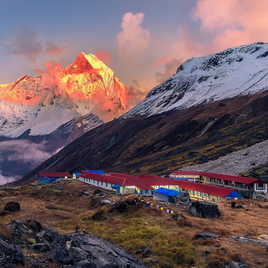 From Pokhara: 5-Day Annapurna Basecamp Trek with Hot Springs