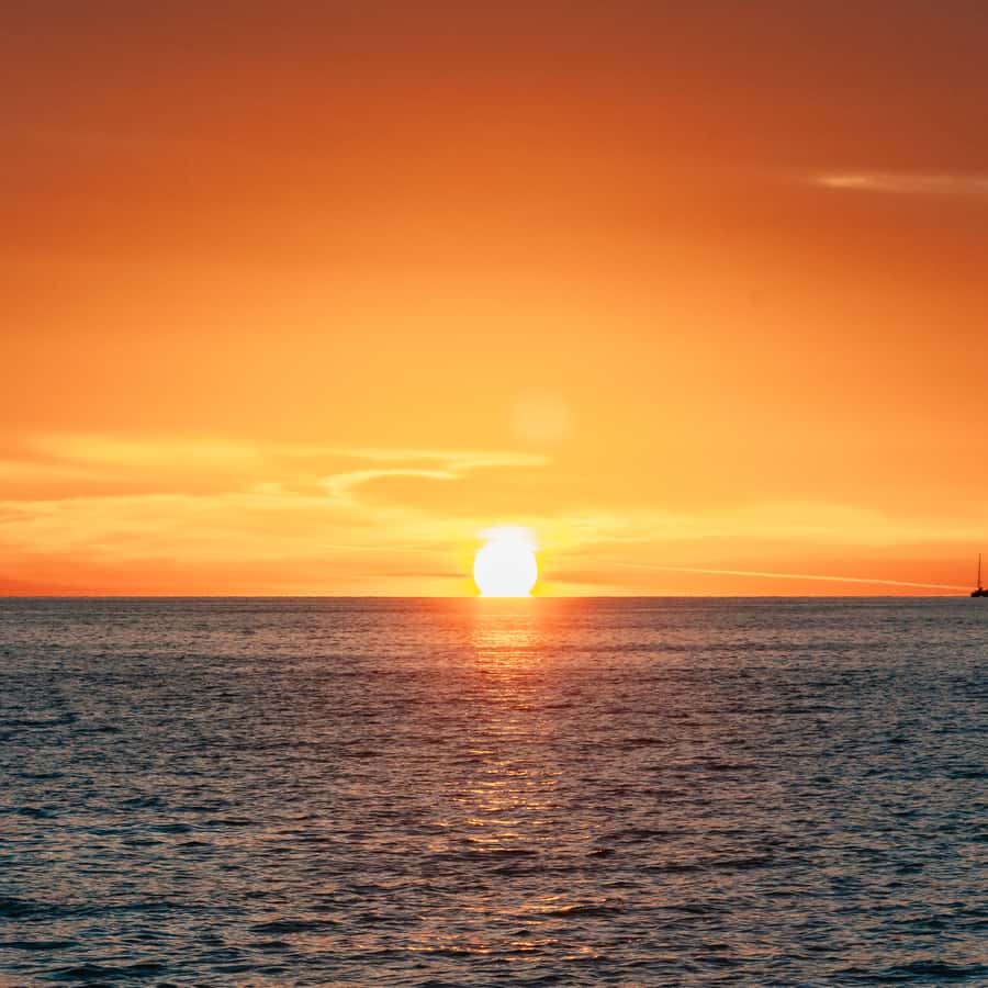 Galería de fotos para redes