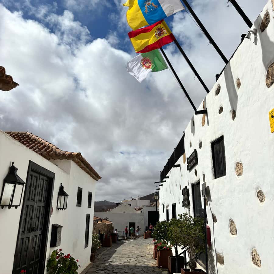 Galería de fotos para redes