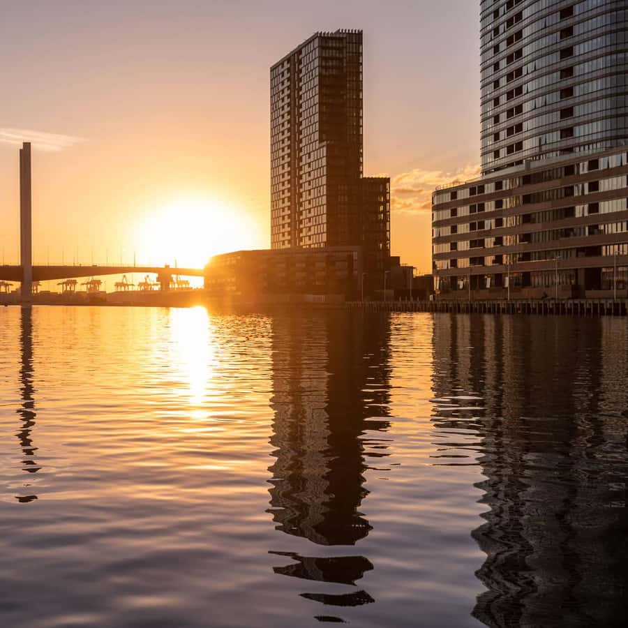 Yarra River: 1.5-Hour Scenic Sunset Public Cruise
