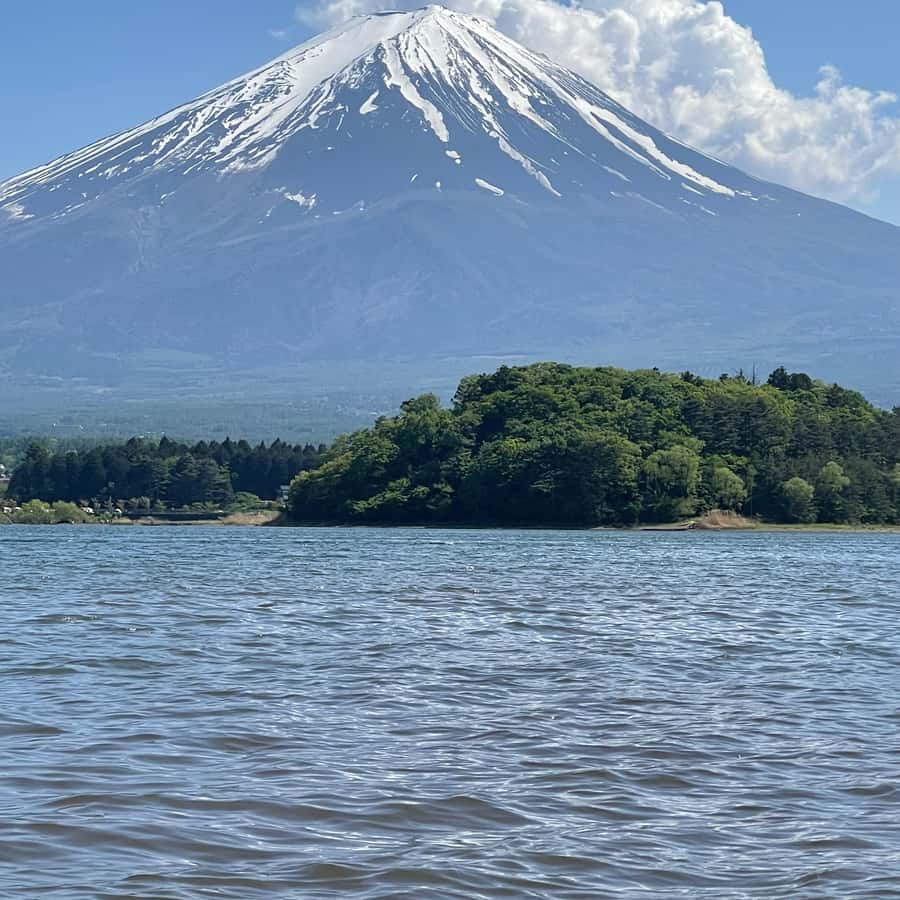 メディア コラージュ