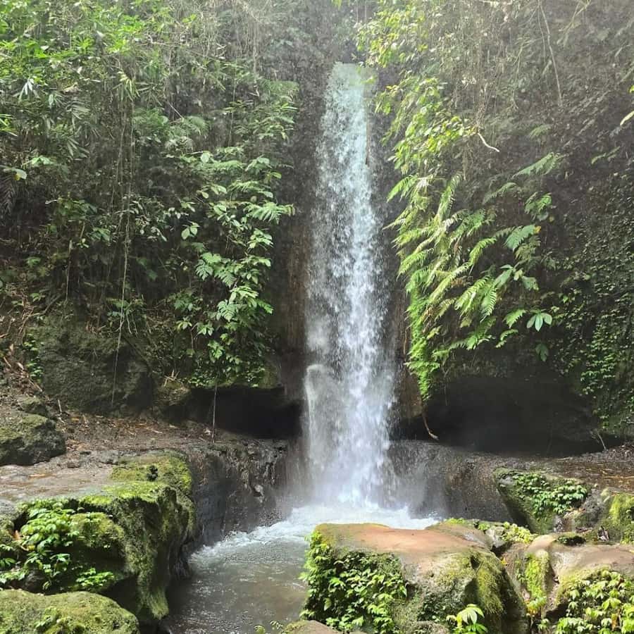 Tegallalang : visite de Telaga Waja Kenderan et de la cascade de Manuaba |  GetYourGuide