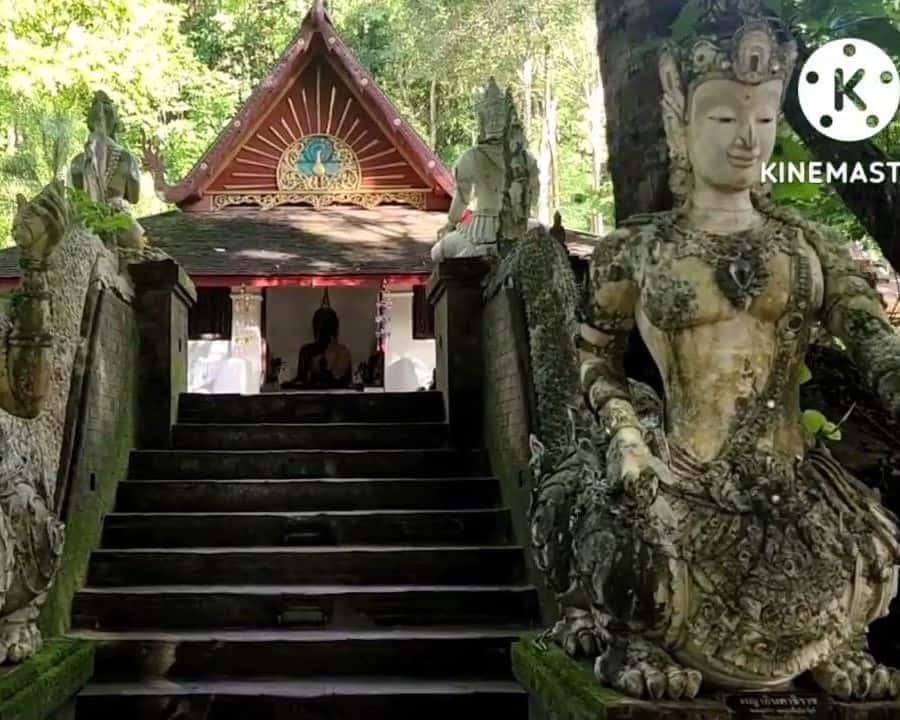 Spiritual Sunrise Wat Doi Suthep, Pha Lat, Alms & Meditation