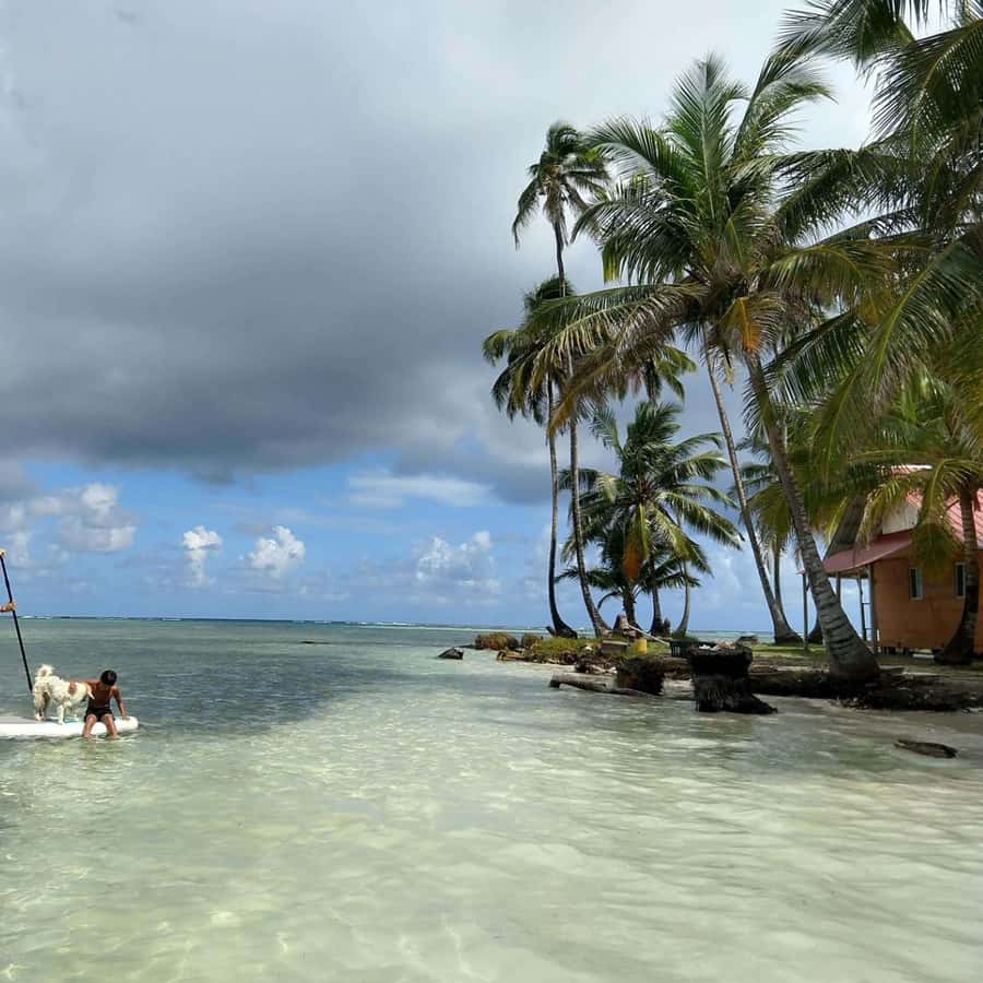 Galería de fotos para redes