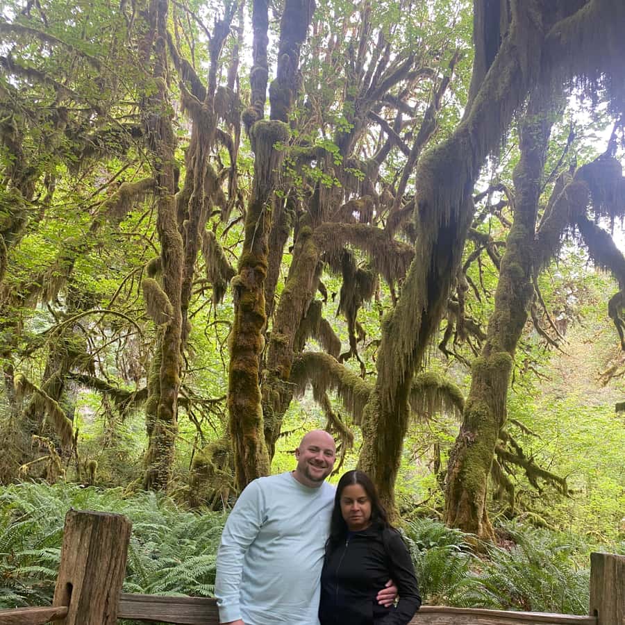 Rainforest and Olympic National Park Highlights