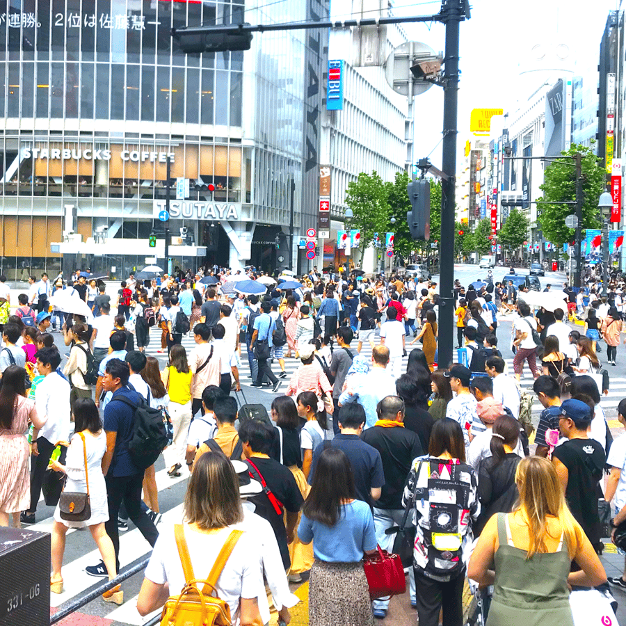 メディア コラージュ
