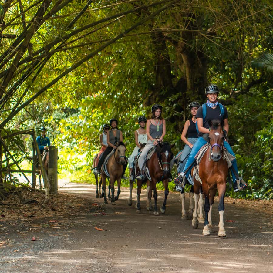 Carabalí Rainforest Park: Rainforest Horseback Riding Tour