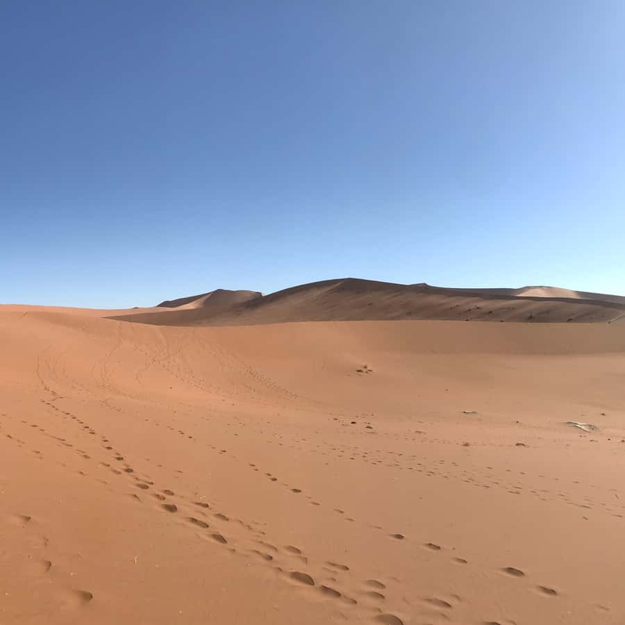 Galería de fotos para redes