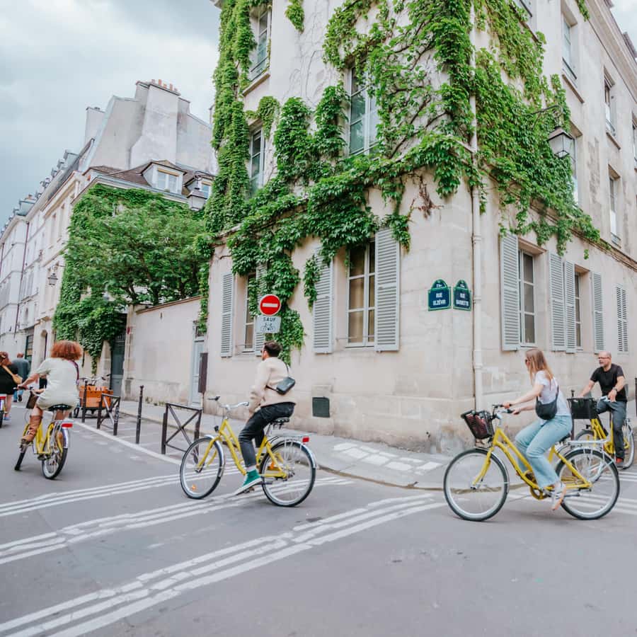 Galerie média