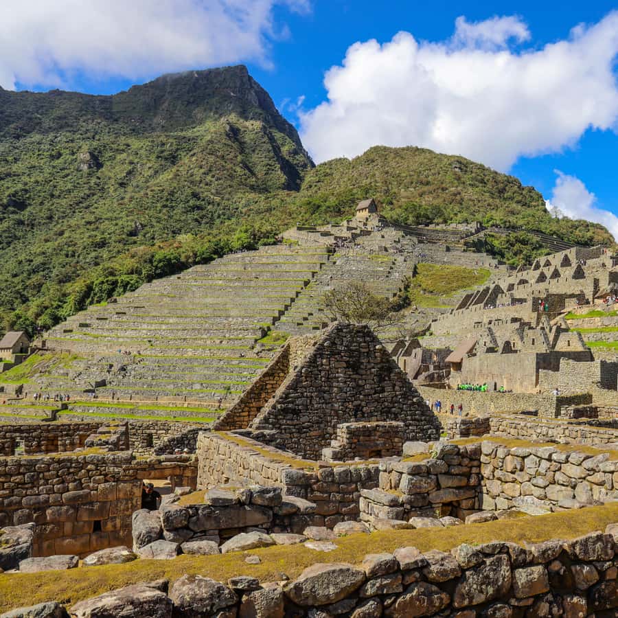 Galería de fotos para redes