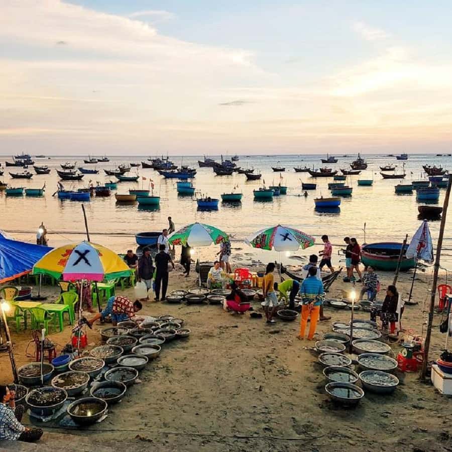 Galería de fotos para redes