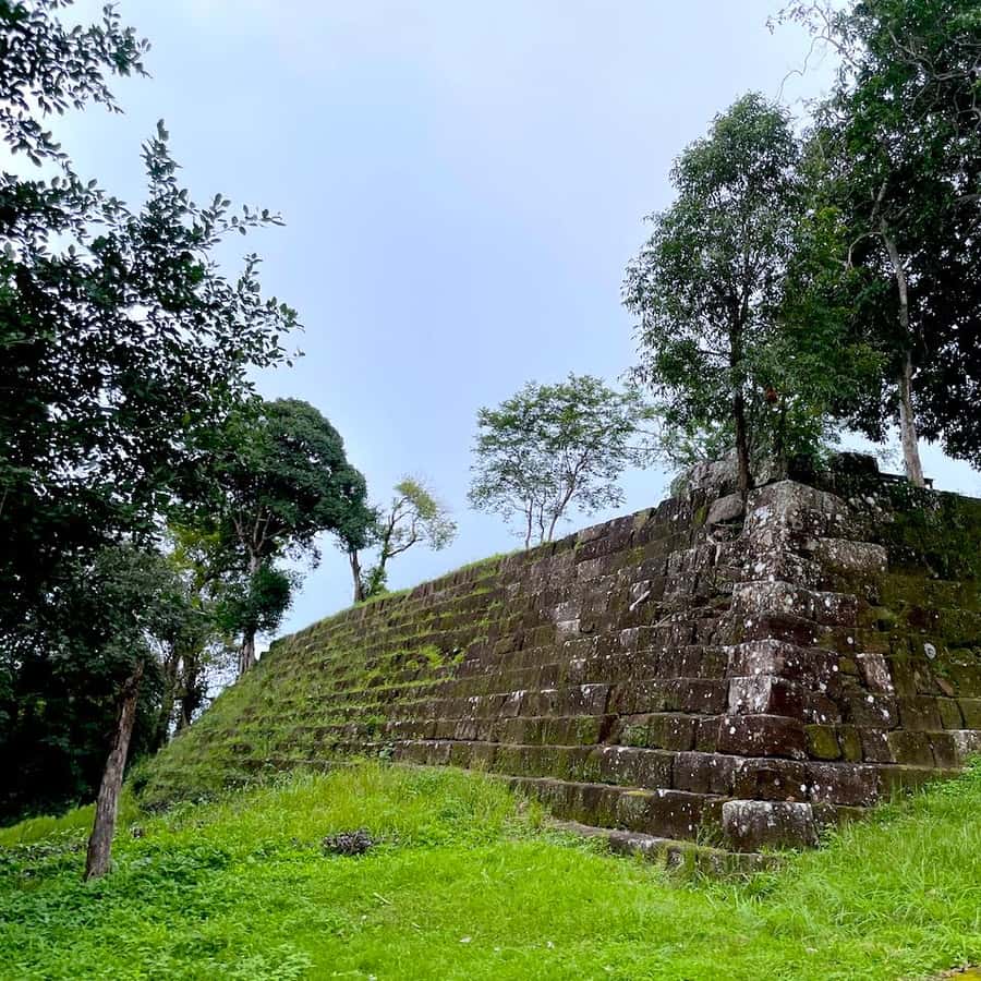 Colagem de mídia