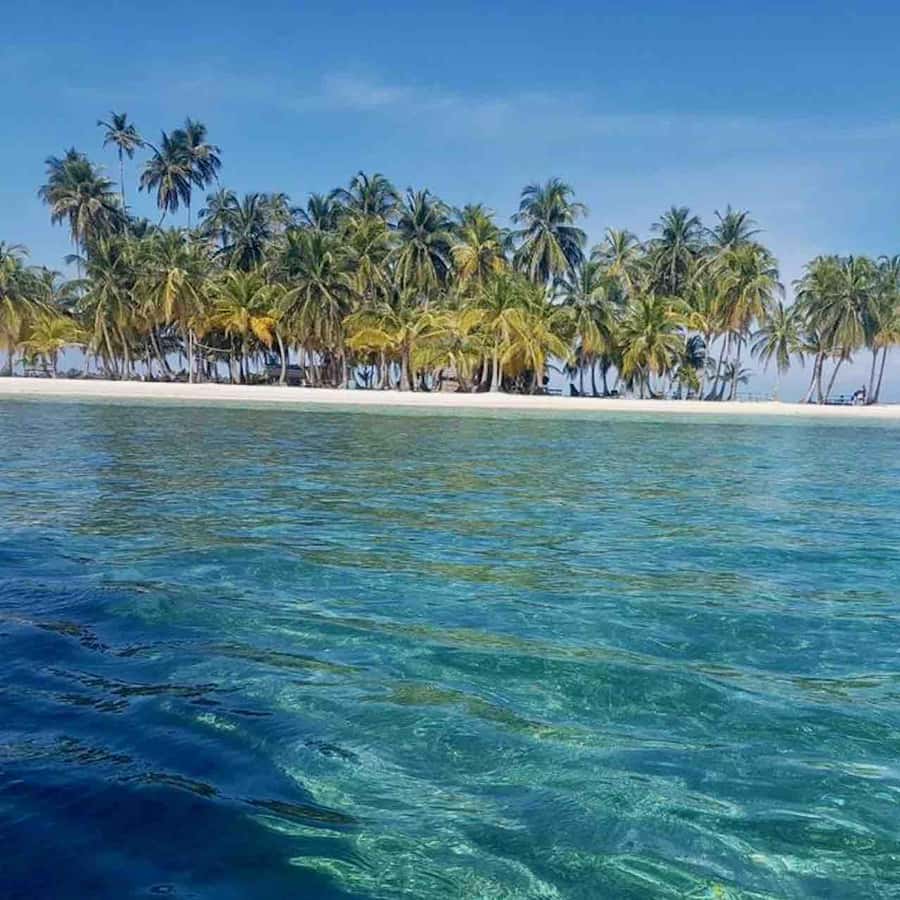 Galería de fotos para redes