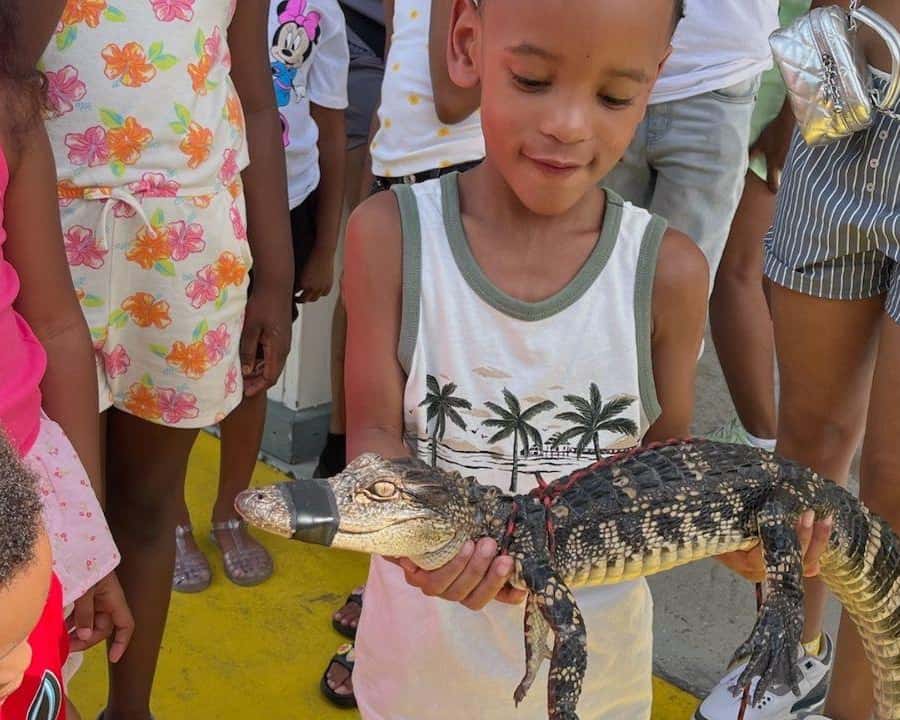 Colagem de mídia