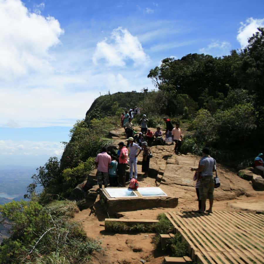 Sri Lanka Scimitar-Babbler - Pomatorhinus melanurus - Birds of the World, image size:900x900