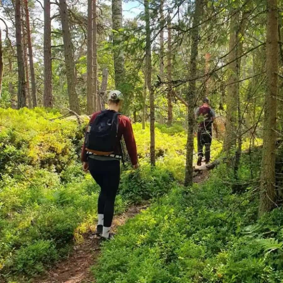 Stockholm: Nature Reserve Hiking Tour with Campfire Lunch