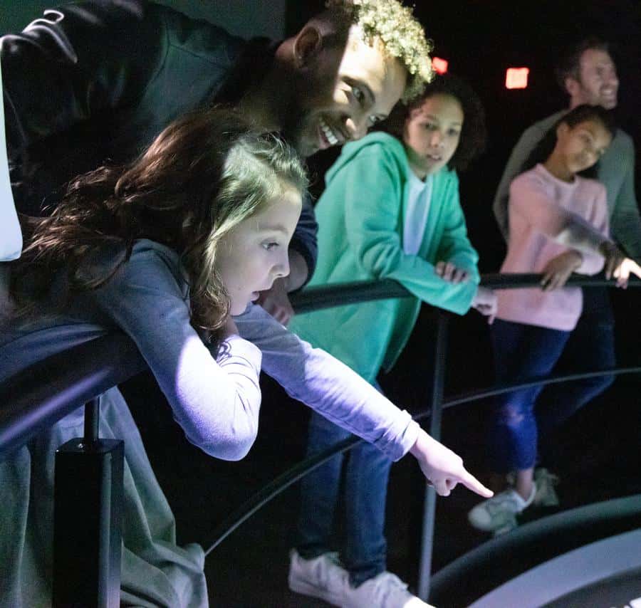 Chicago: Immersive Flyover Journey Ticket