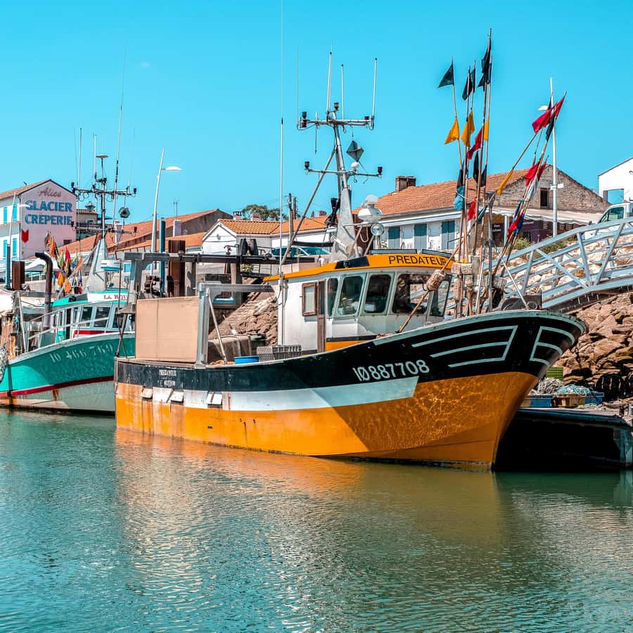 Colagem de mídia
