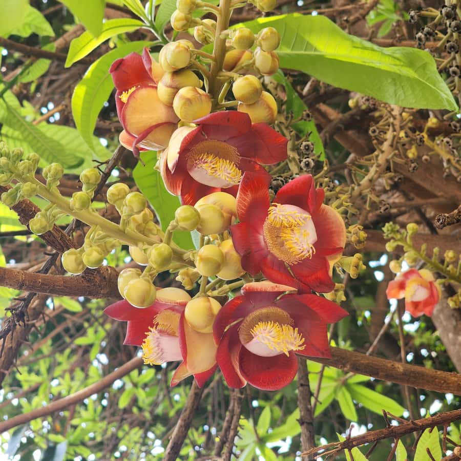 Colagem de mídia