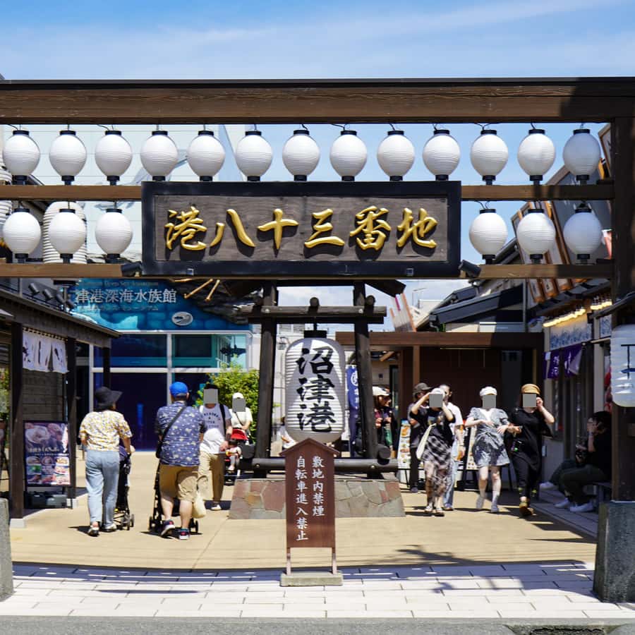 De Tóquio: Excursão de um dia ao Porto de Numazu e Gotemba Outlets