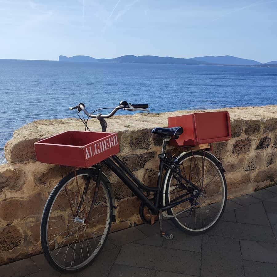 Alghero byvandring med lokal guide