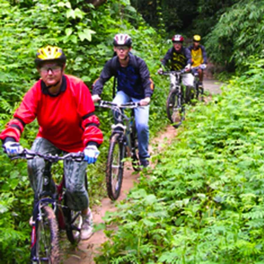 Chiang Mai Randonnée guidée en VTT dans la forêt tropicale