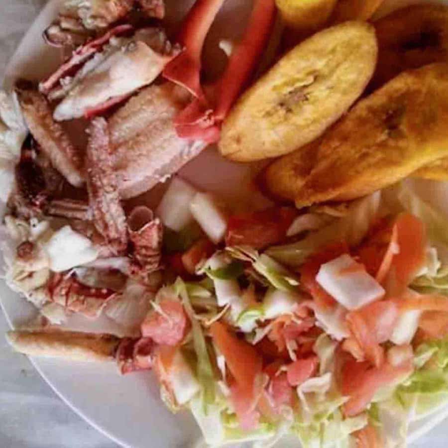 Galería de fotos para redes