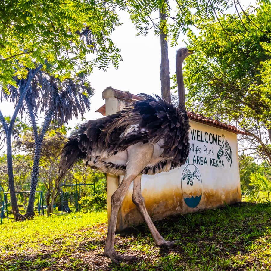 Galería de fotos para redes