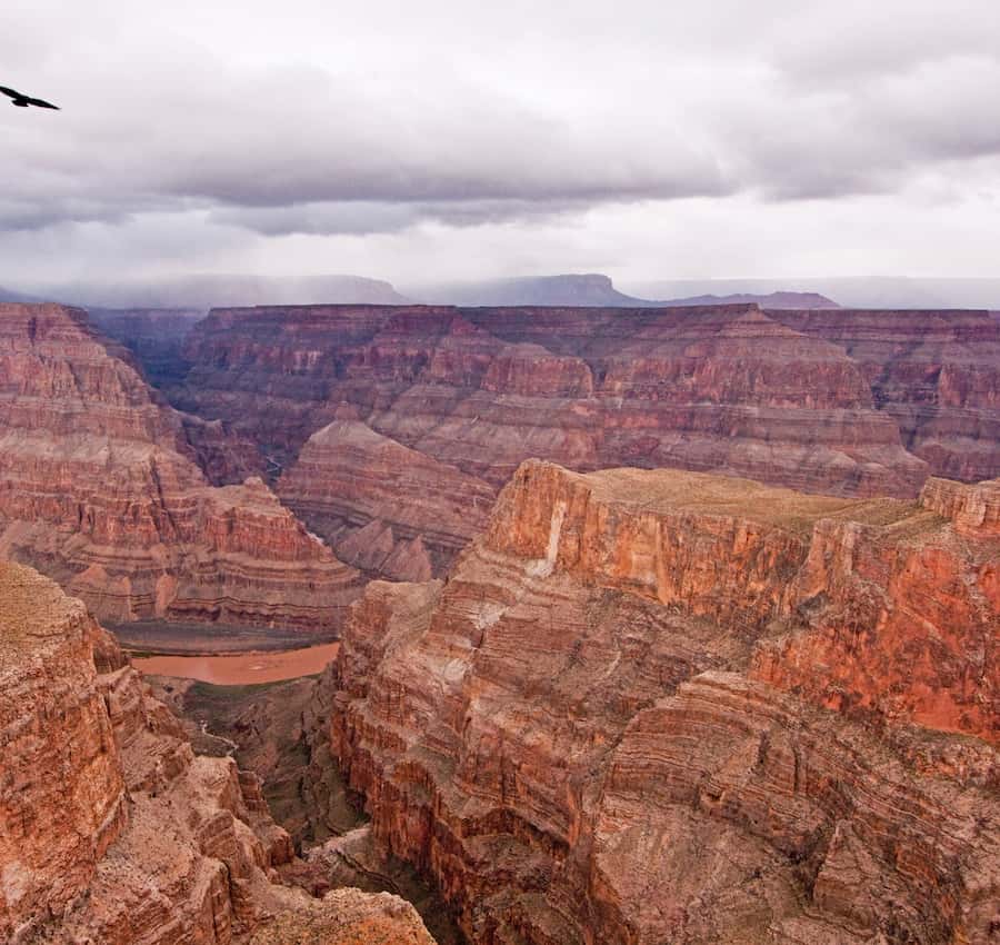 Las Vegas: Grand Canyon Helicopter Landing Tour