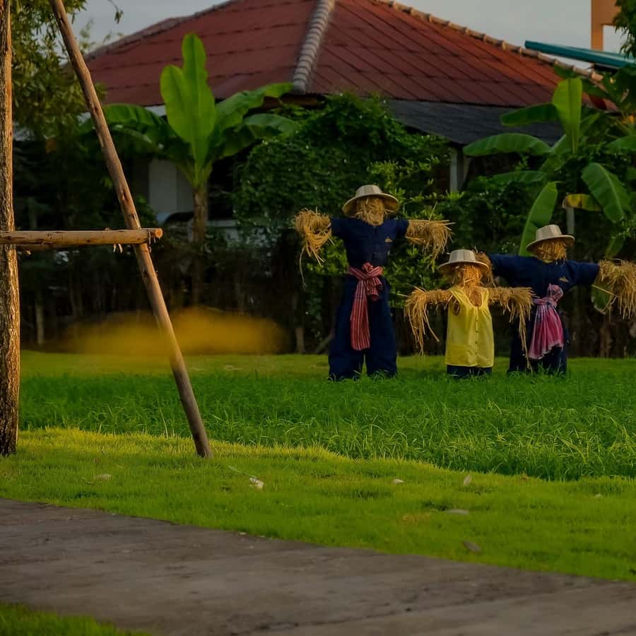 Colagem de mídia