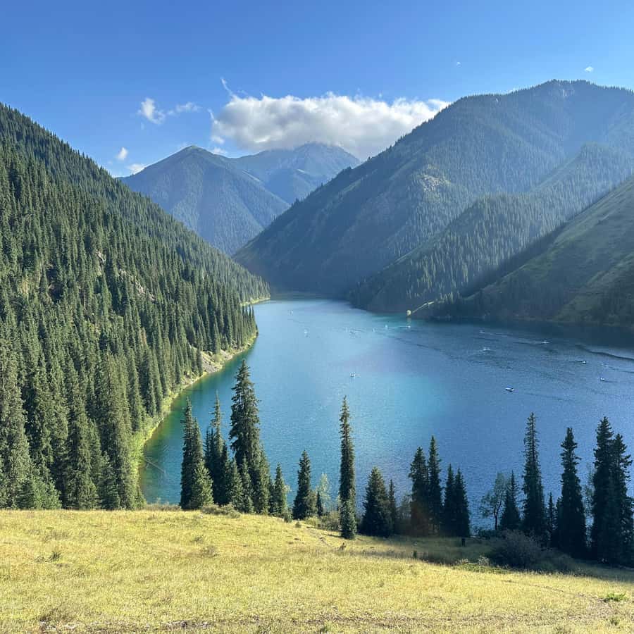 Qanday kichik jinsiy olatni Skyrim jinsiy aloqa uchun video