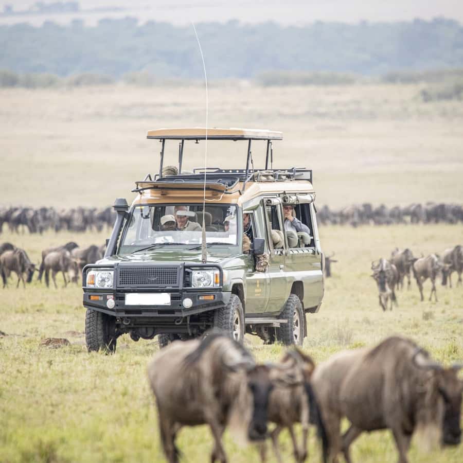 サファリランドとTYRセット 海洋堂×トミカリミテッド ヴィンテージ ジオコレ64 ＃カースナップ28a