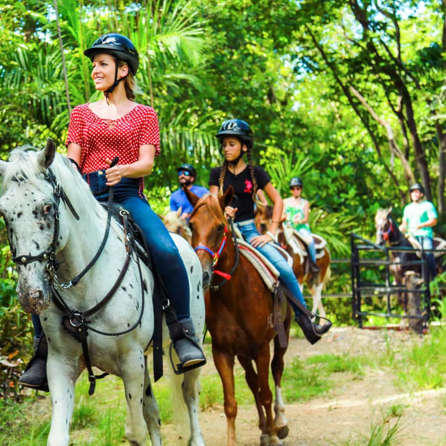 Carabalí Rainforest Park: Rainforest Horseback Riding Tour