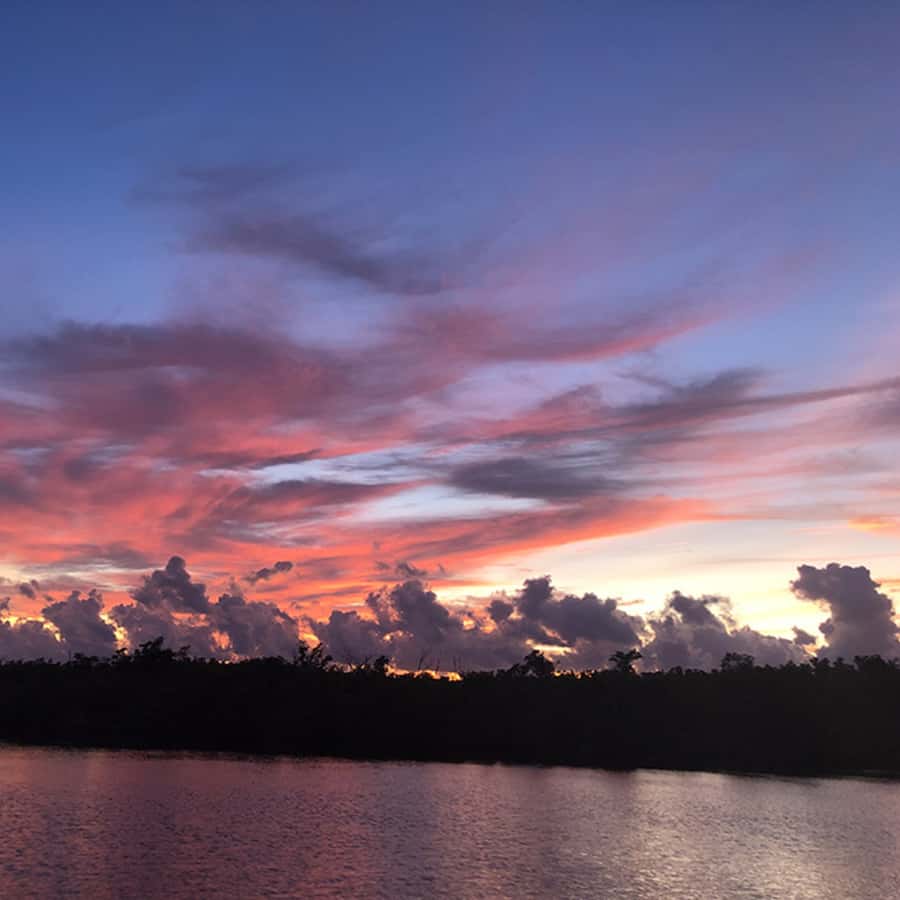 Panama City: Sunset Dolphin Cruise in St. Andrews Bay