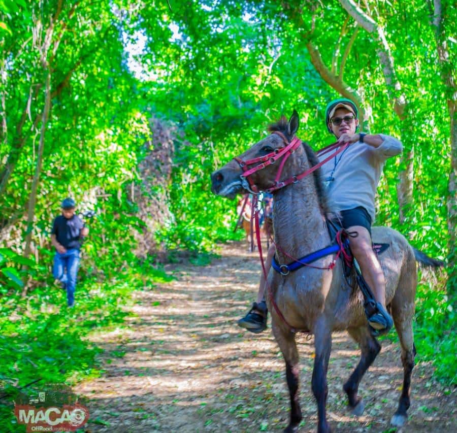 Punta Cana Horseback riding & Sunset + beach + free pick-up