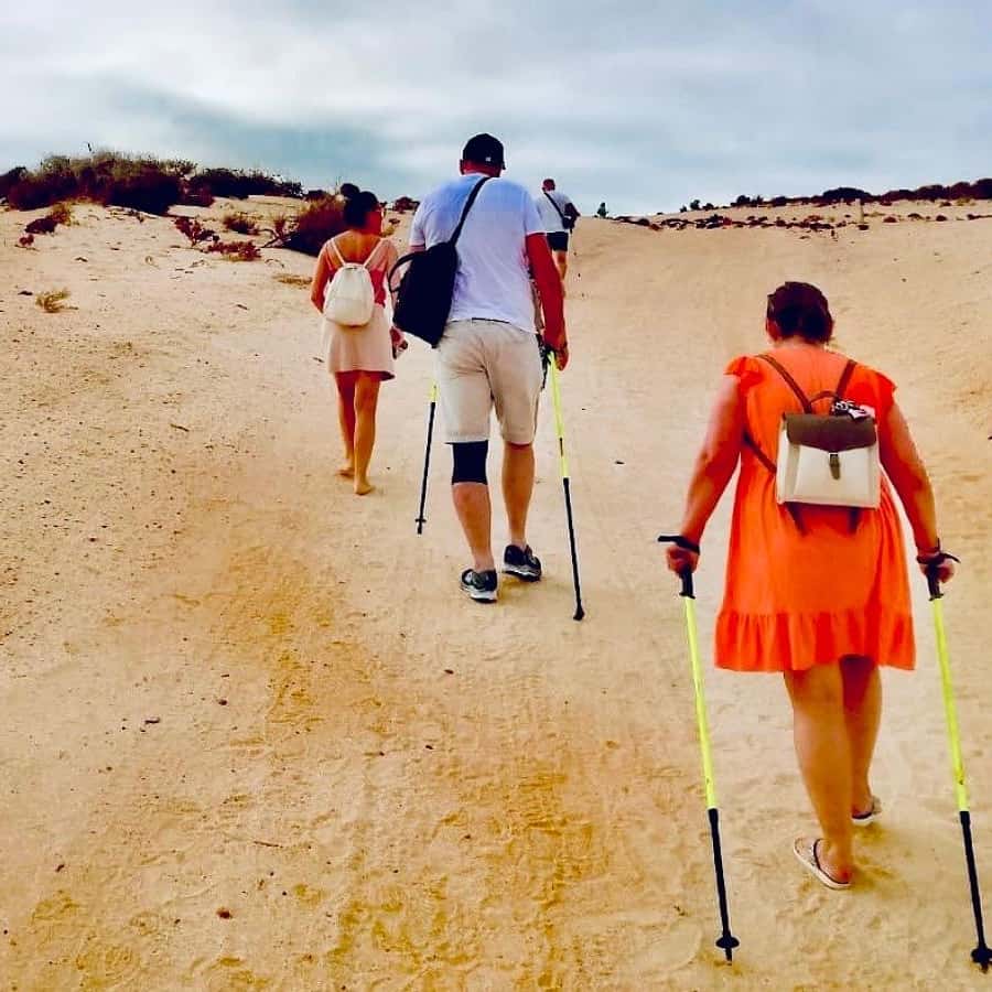 Galería de fotos para redes
