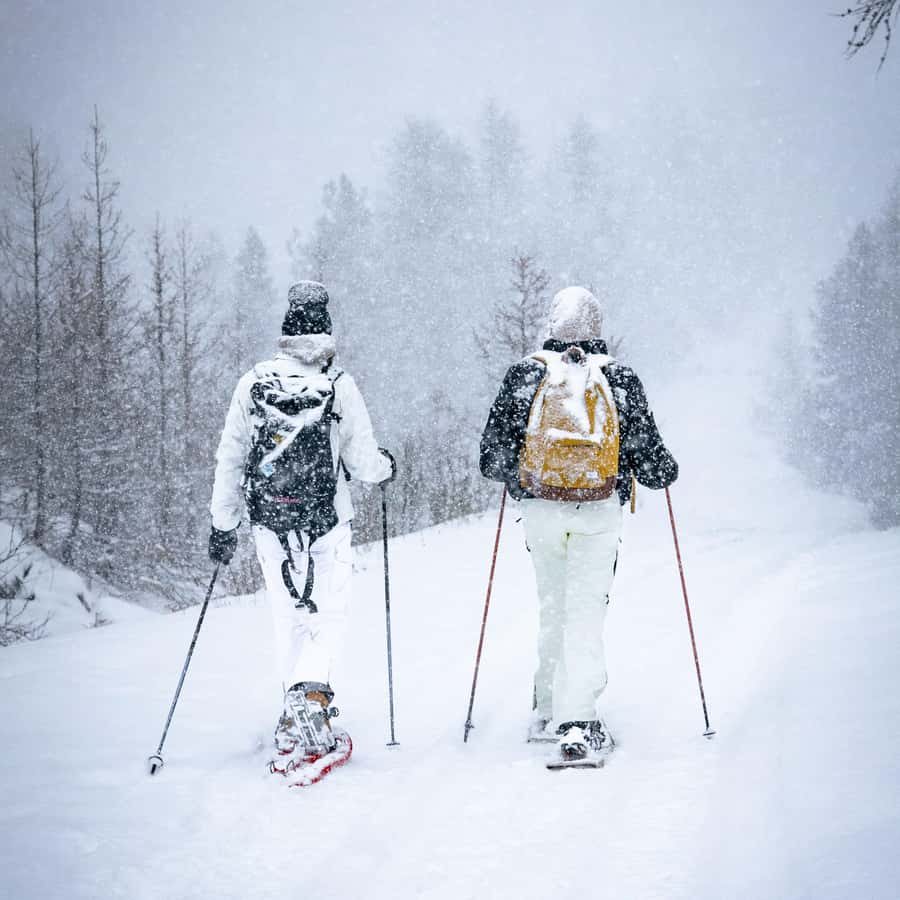 Vialattea: Snowshoeing in the Snowy Forest GetYourGuide