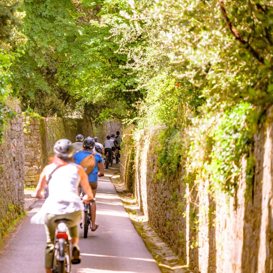 Down Country Percorsi Bici Chianti Percorsi Bici Chianti Vinci E