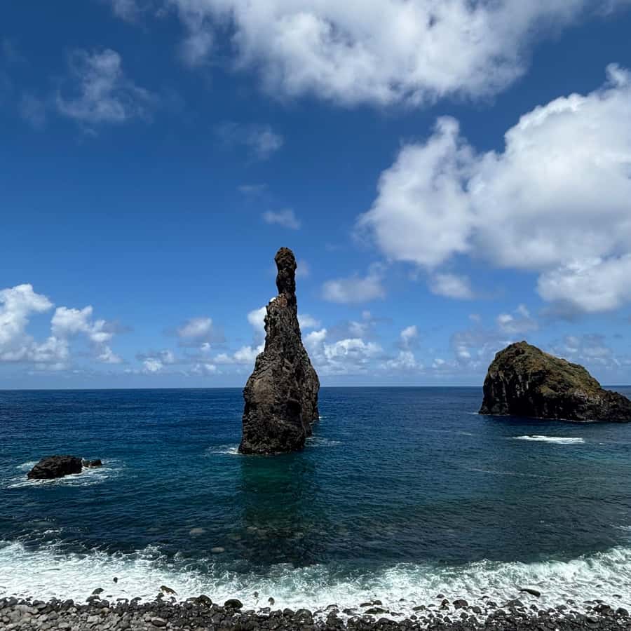 Galería de fotos para redes