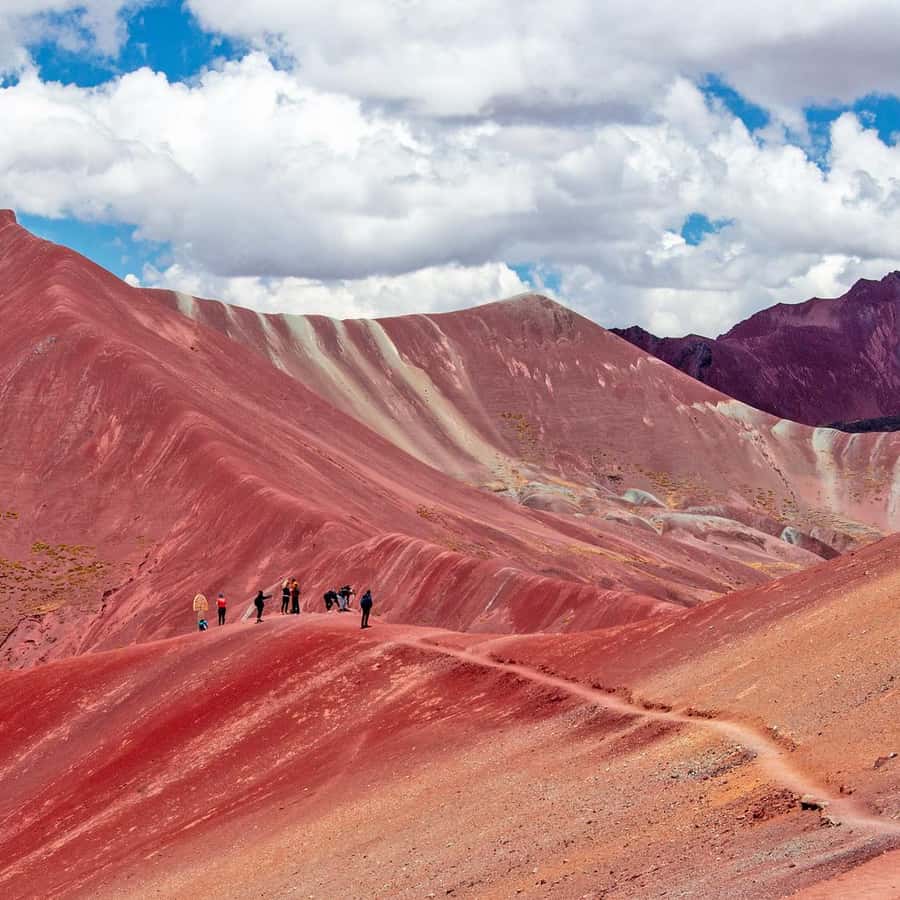 Galería de fotos para redes