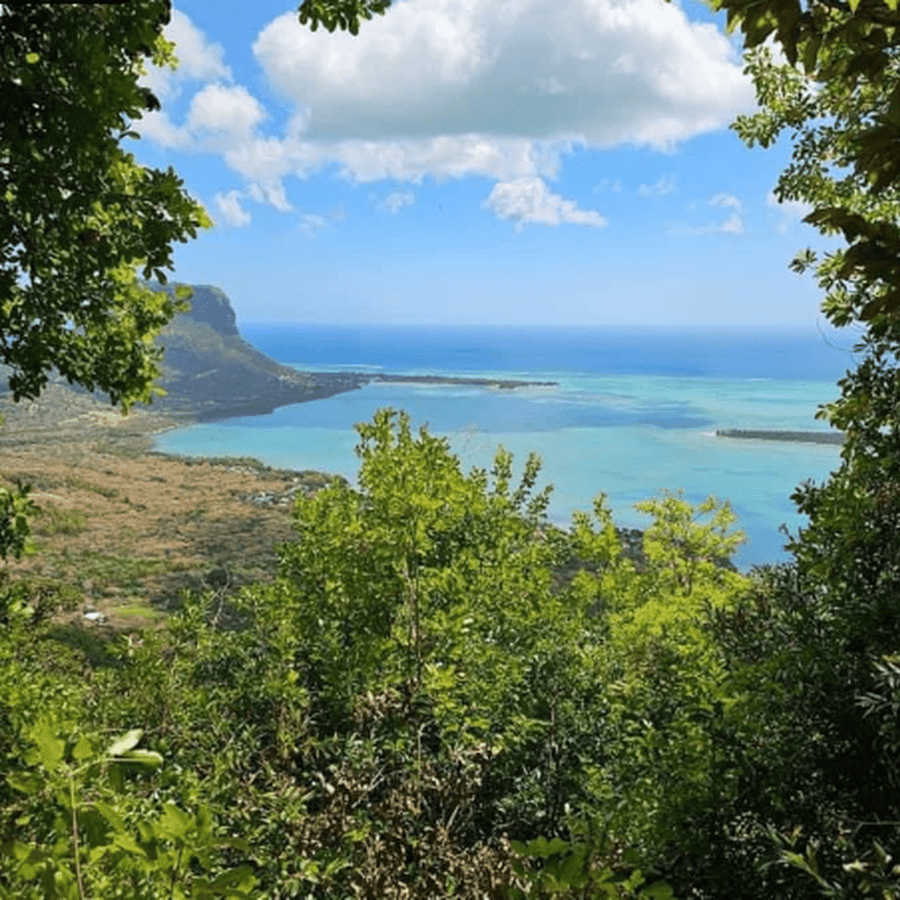 피톤 드 라 쁘띠 리비에르 누아르 하이킹 | GetYourGuide