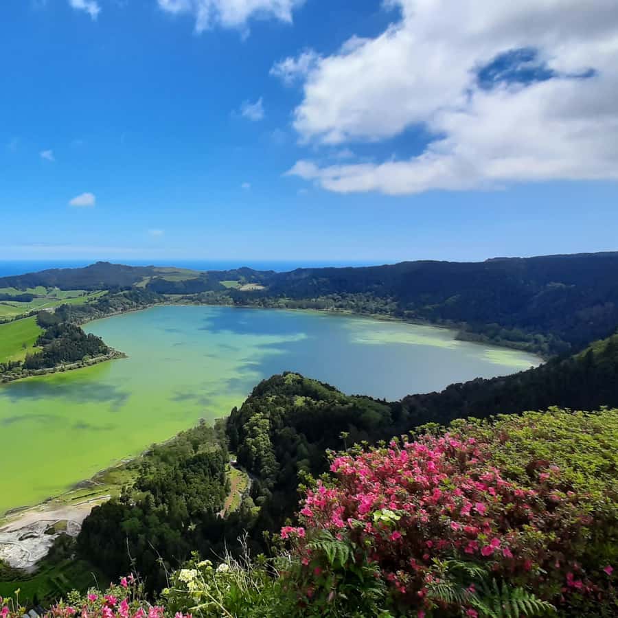 Colagem de mídia