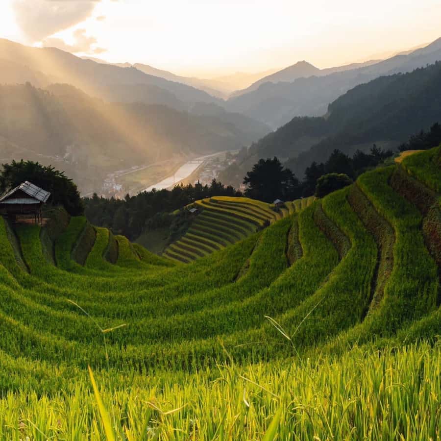 From Hanoi: 3-Day Sapa Trekking (sleep at hotel & homestay)