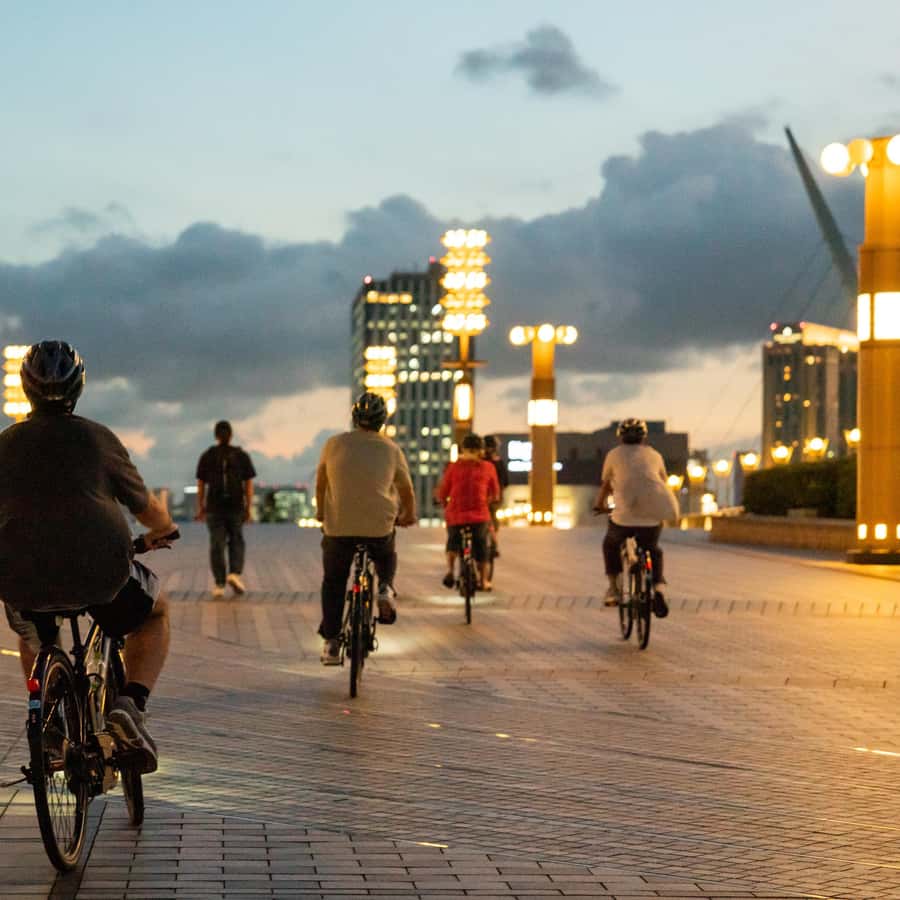 Tokyo Bay Area: Sunset Night View 3h E-bike Guided Bike Tour