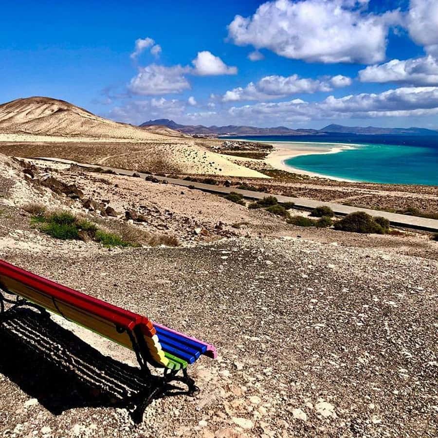Galería de fotos para redes