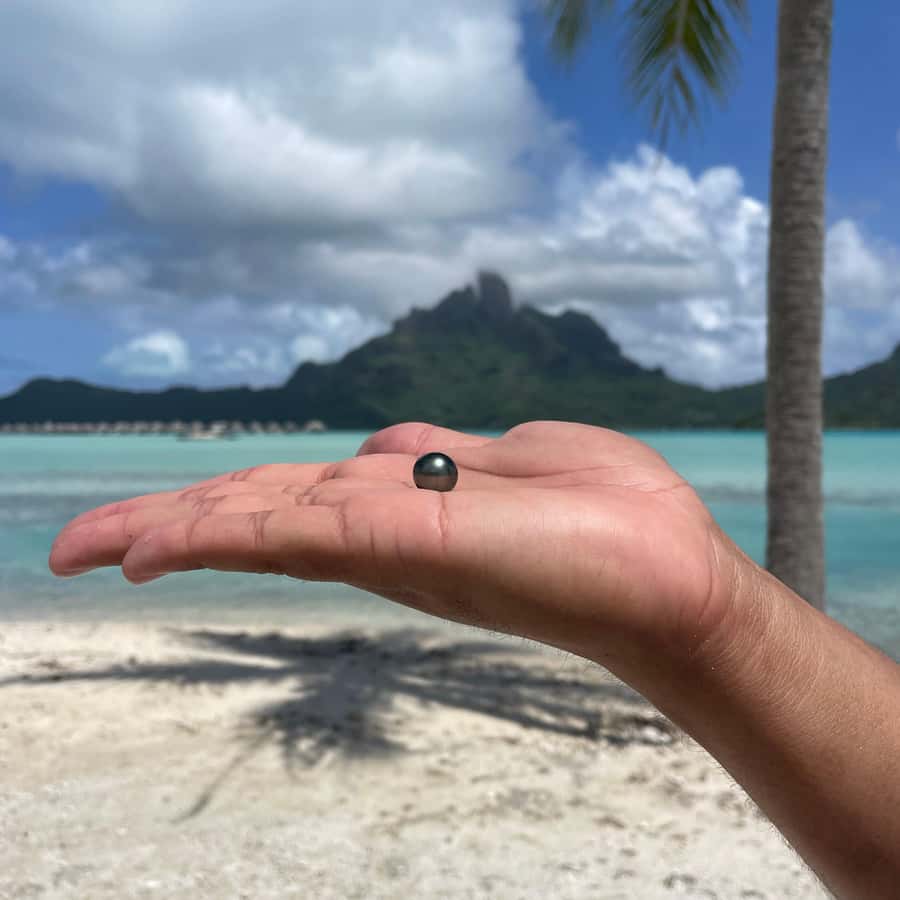 NYCO'S 黒真珠　タヒチ　ボラボラ島 ボラボラ島：タヒチ黒真珠を発見！ | GetYourGuide